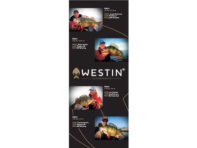ROLL-UP