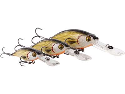 BUZZBITE CRANKBAIT