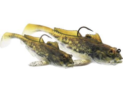 GUNNAR THE GOBY R2F