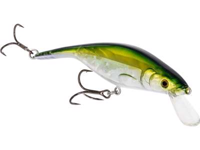 P10SR CRANKBAIT