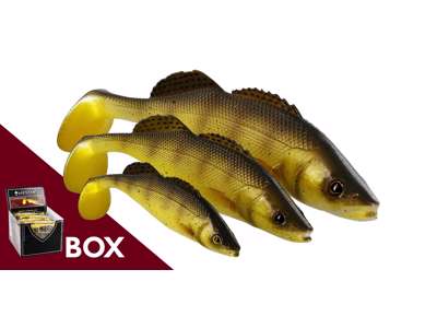 ZANDERTEEZ SHADTAIL BOX
