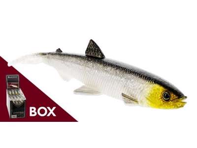 HYPOTEEZ V-TAIL BOX