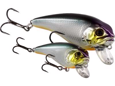 FATBITE CRANKBAIT