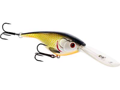 BABYBITE DR CRANKBAIT
